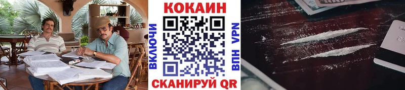COCAIN Fish Scale  Купить закладки  Ахтырский 