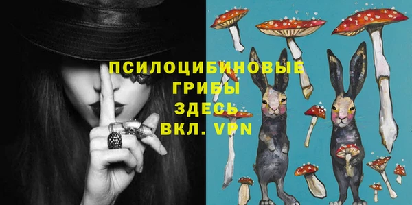 дурь Липки